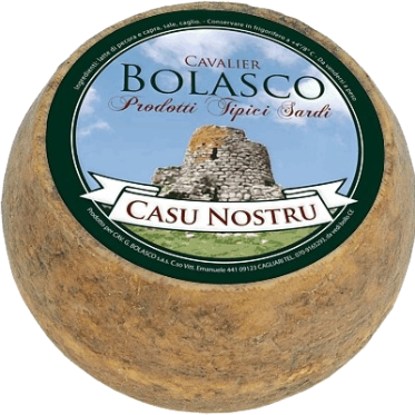 Formaggio Casu Nostru forma di formaggio in primo piano