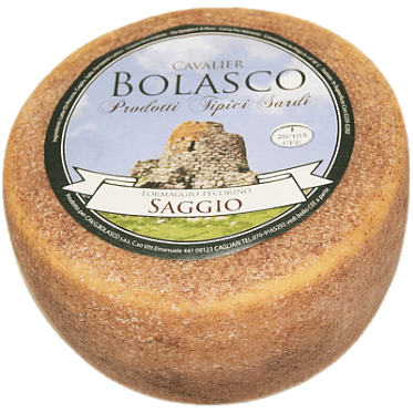 Pecorino Saggio forma di formaggio in primo piano